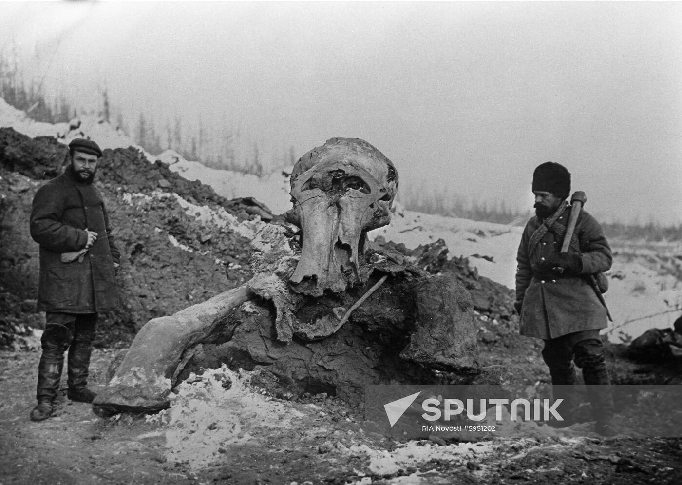 Beryozovka mammoth