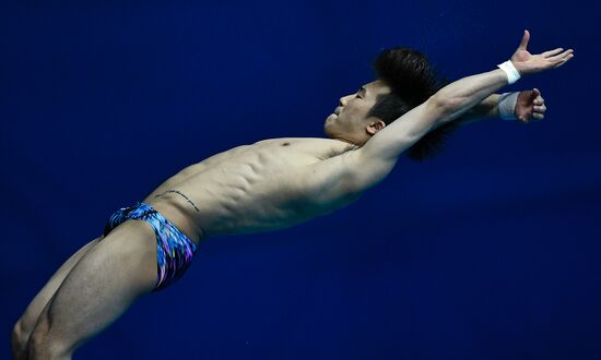 South Korea Aquatics Worlds Platform Men