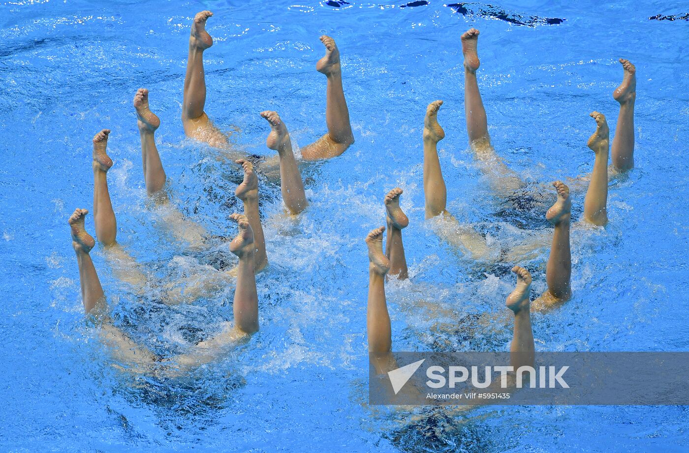 South Korea Aquatics Worlds Team Free