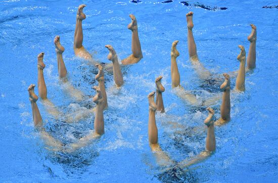 South Korea Aquatics Worlds Team Free