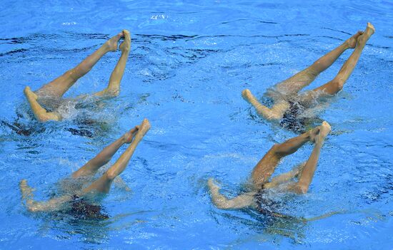 South Korea Aquatics Worlds Team Free