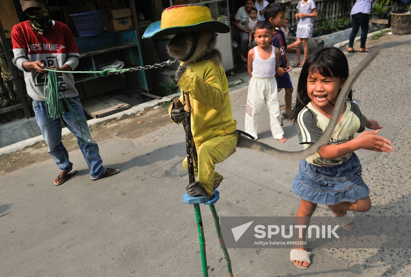 Indonesia Chained Monkey Show