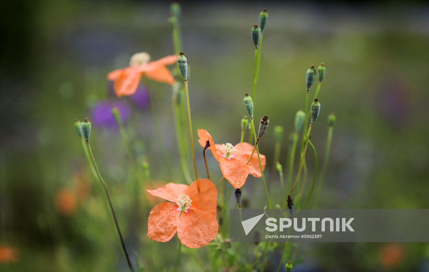 Russia North Ossetia - Alania 