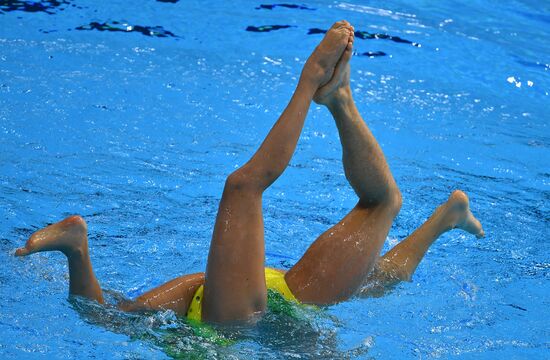 South Korea Aquatics Worlds Mixed Duet Free