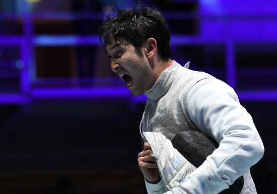 Hungary Fencing Worlds