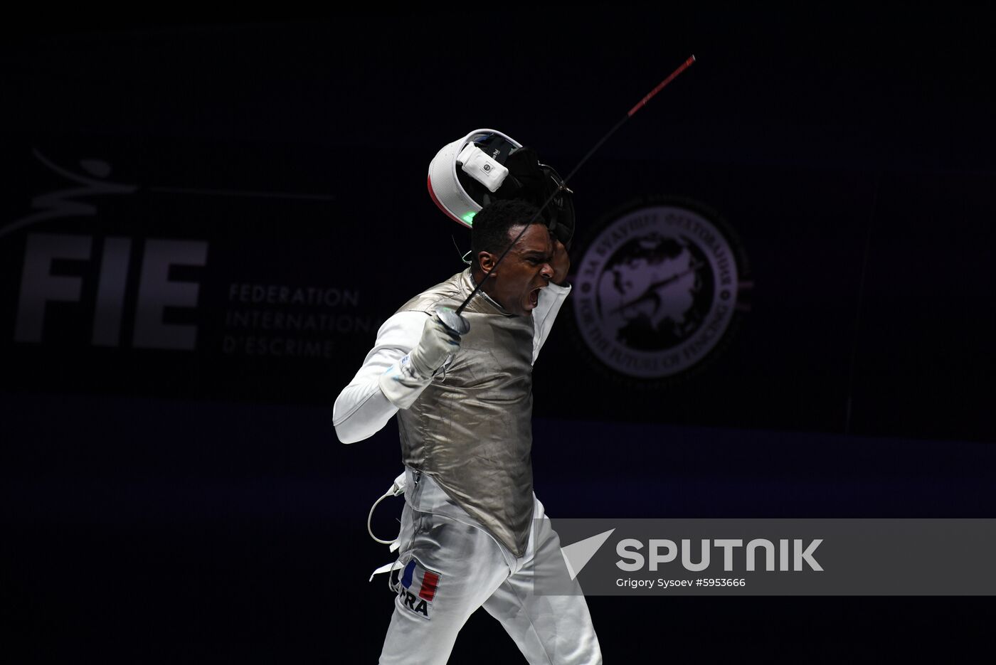 Hungary Fencing Worlds