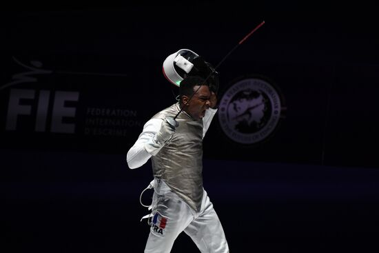 Hungary Fencing Worlds