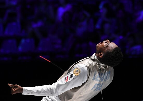 Hungary Fencing Worlds