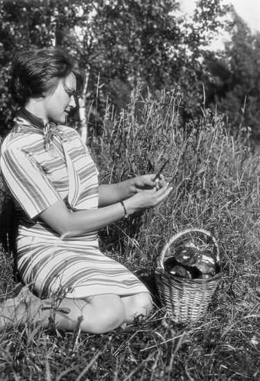 Mushroom picking in Moscow Region