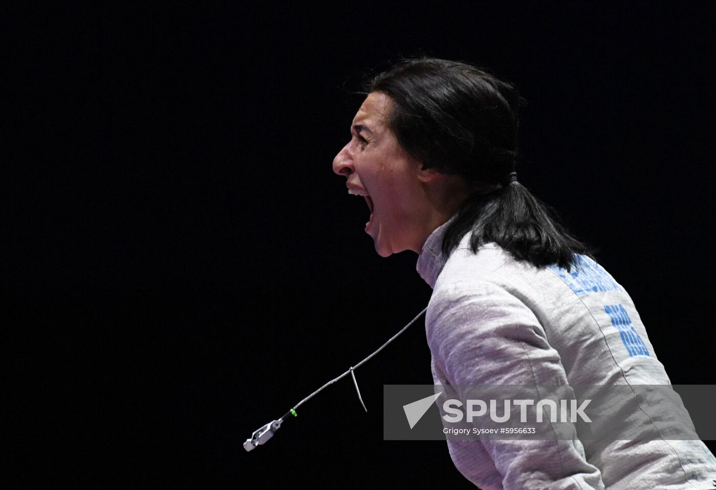 Hungary Fencing Worlds