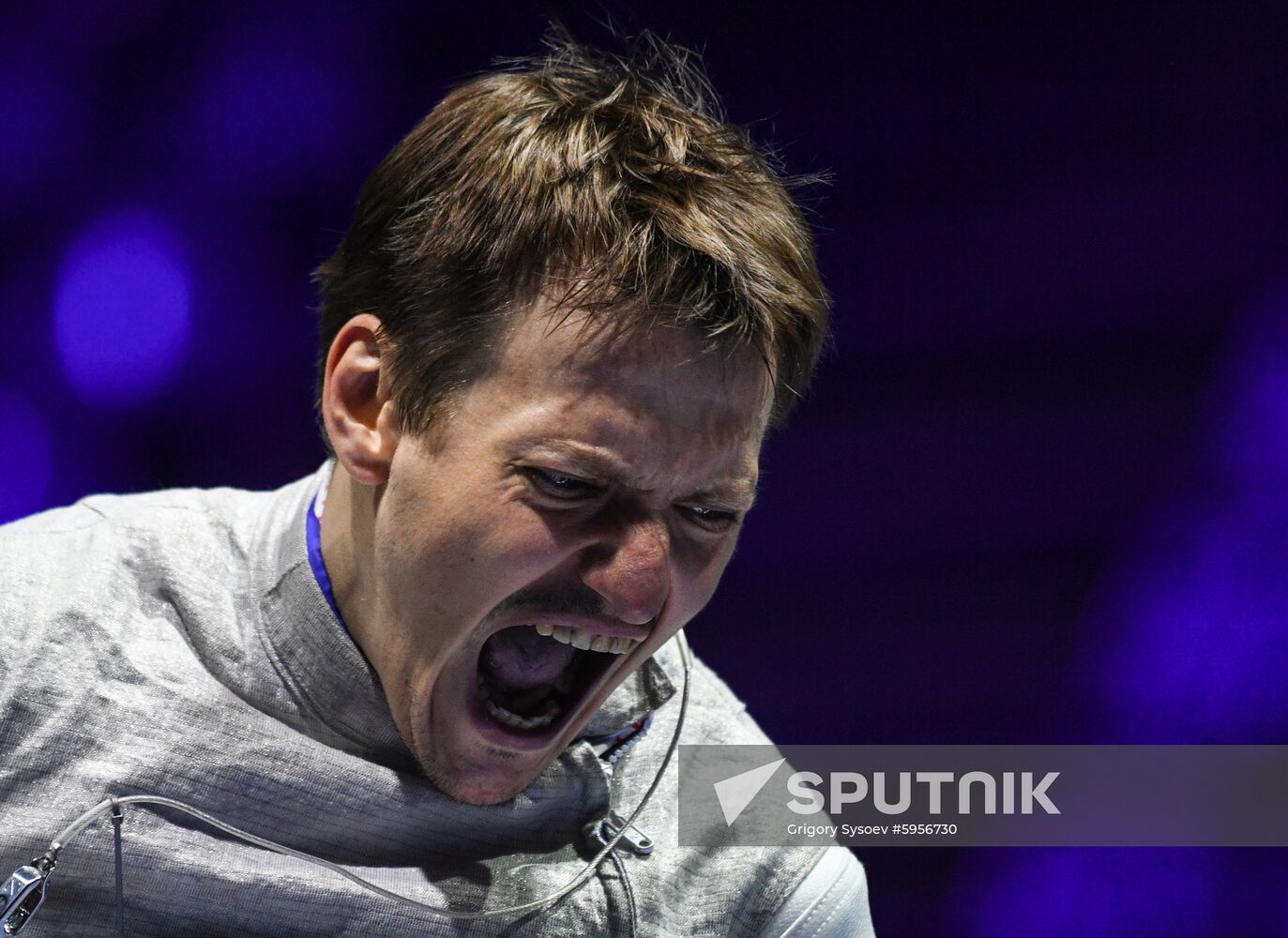 Hungary Fencing Worlds
