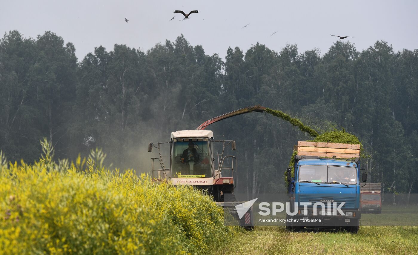 Russia Hay Harvest