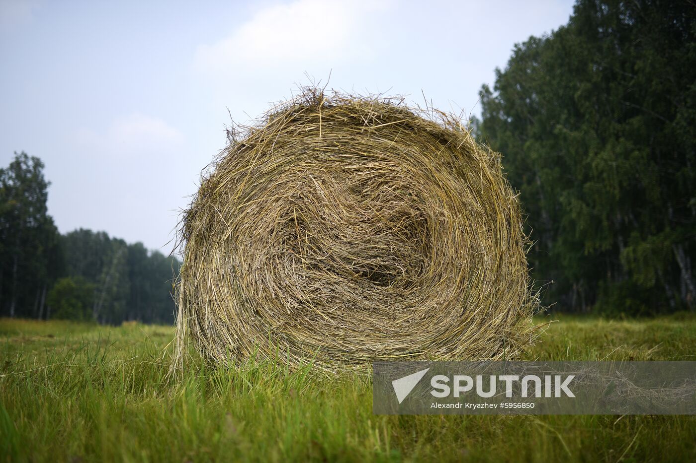 Russia Hay Harvest