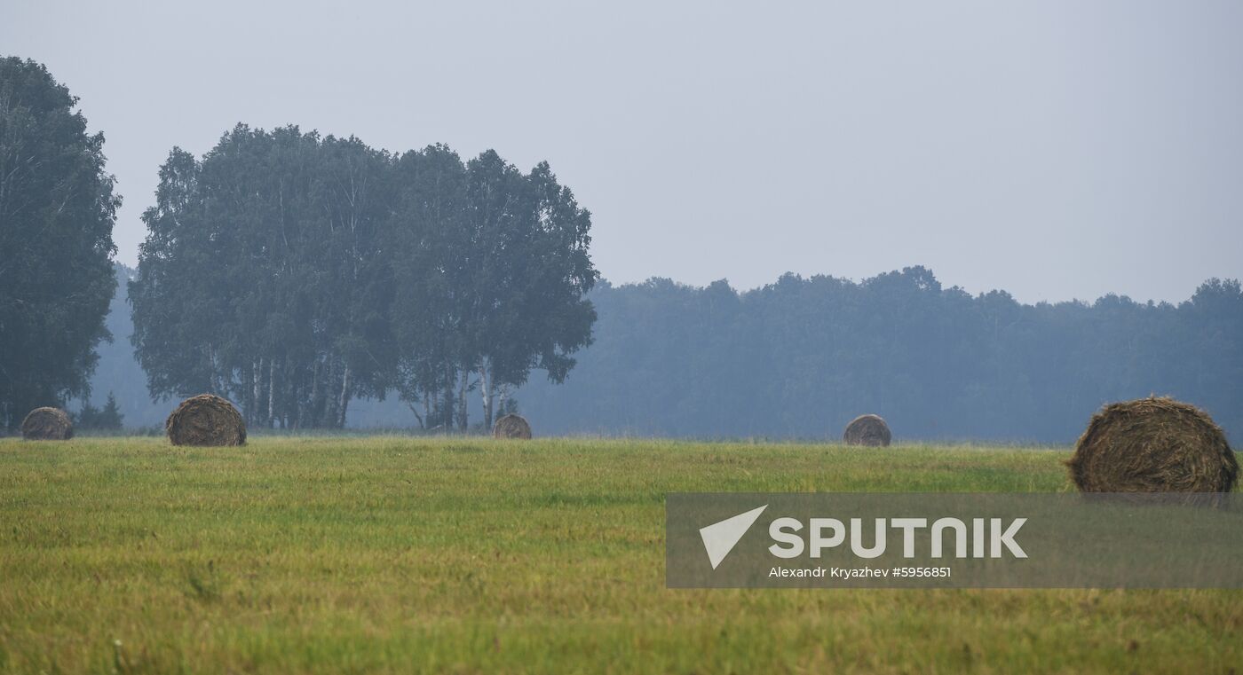Russia Hay Harvest