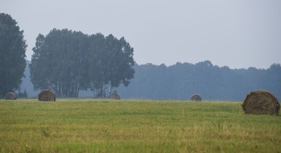 Russia Hay Harvest
