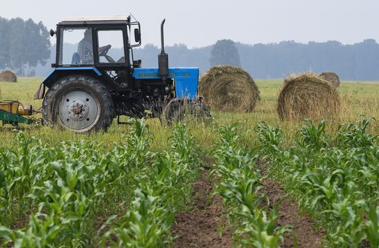 Russia Hay Harvest