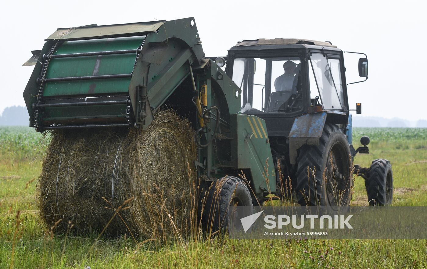 Russia Hay Harvest