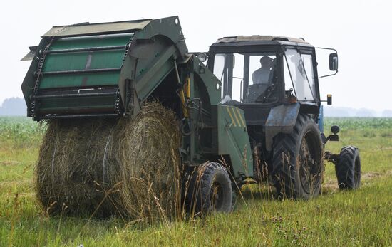 Russia Hay Harvest