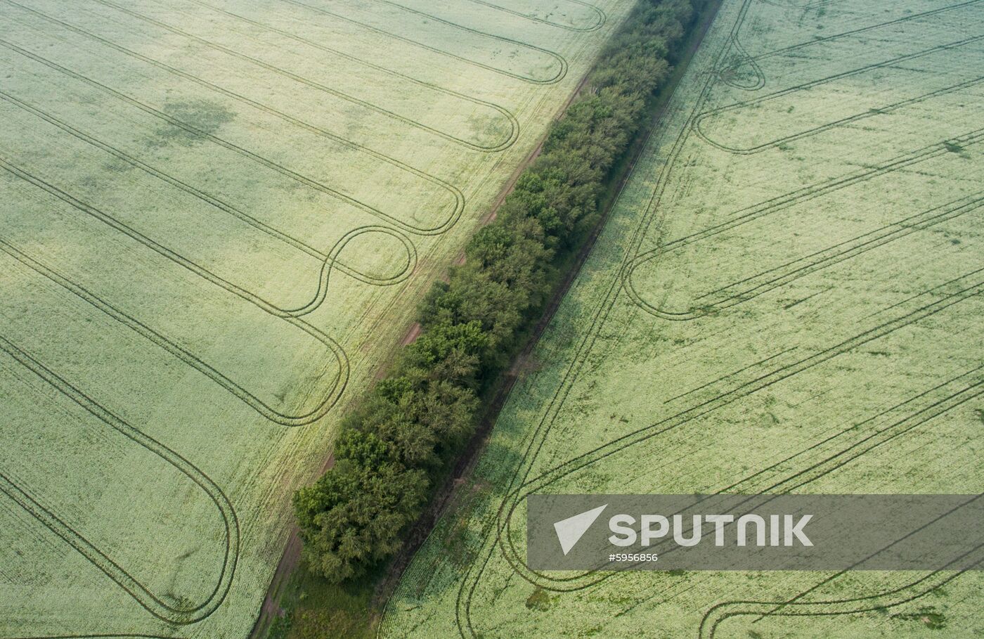 Russia Hay Harvest