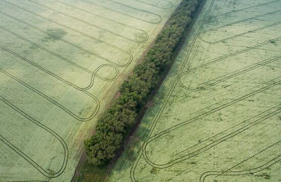 Russia Hay Harvest