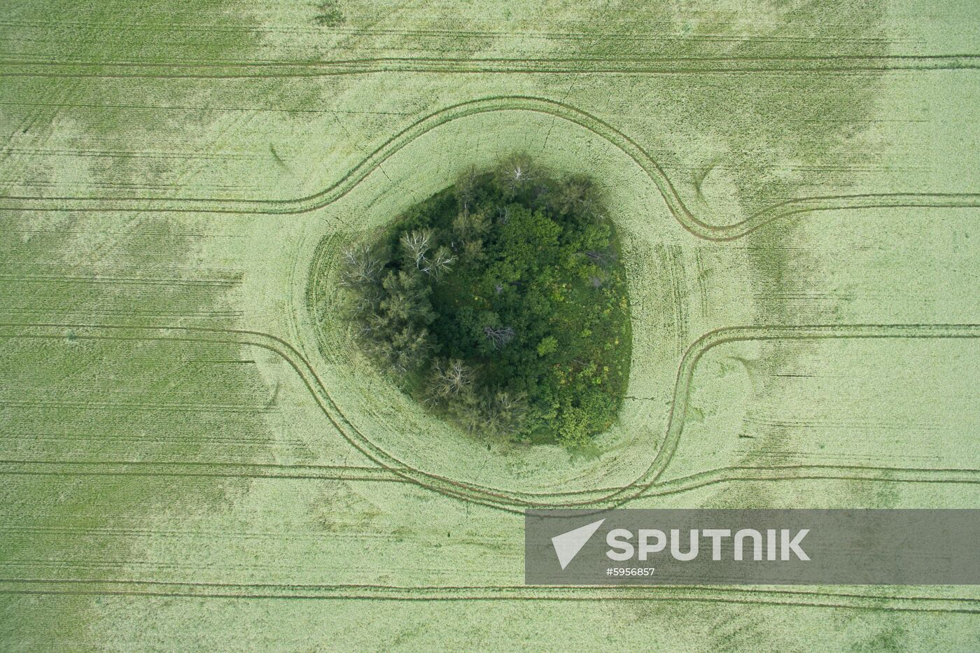 Russia Hay Harvest