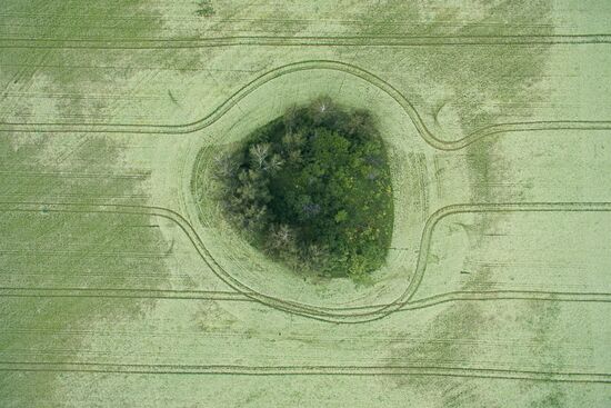 Russia Hay Harvest