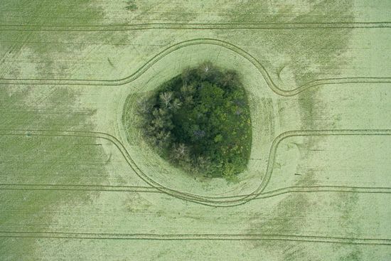 Russia Hay Harvest