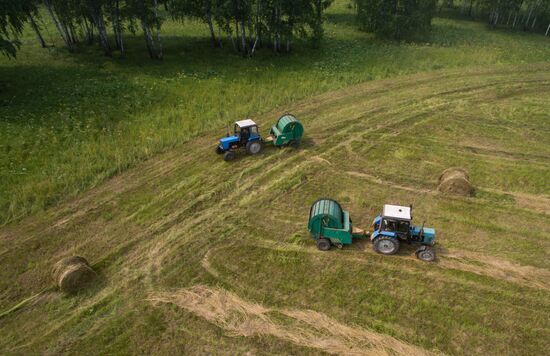 Russia Hay Harvest