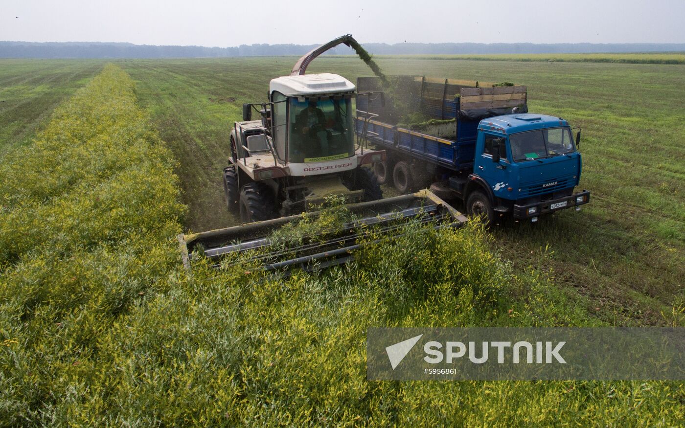 Russia Hay Harvest