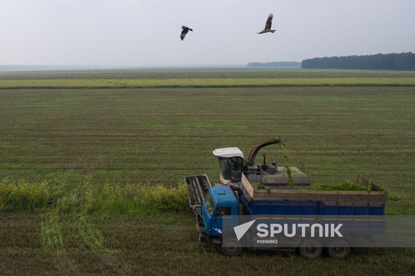 Russia Hay Harvest
