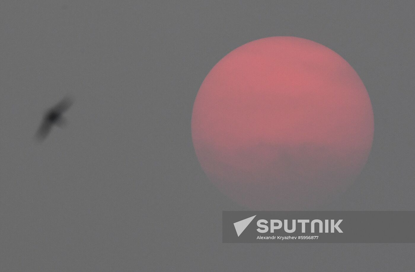 Russia Forest Fires