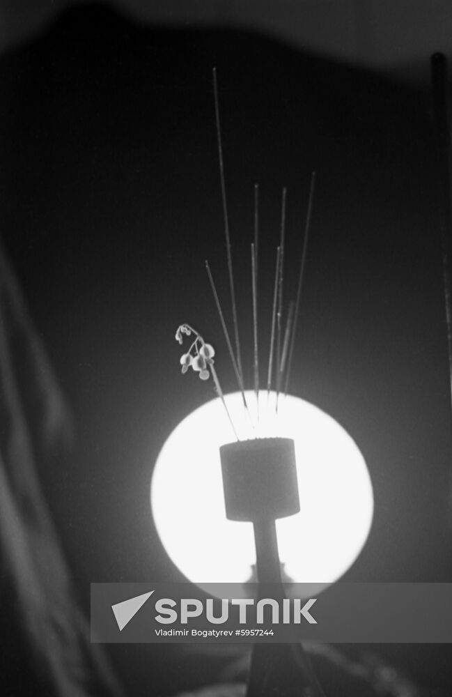 Ultrasonic capillary effect