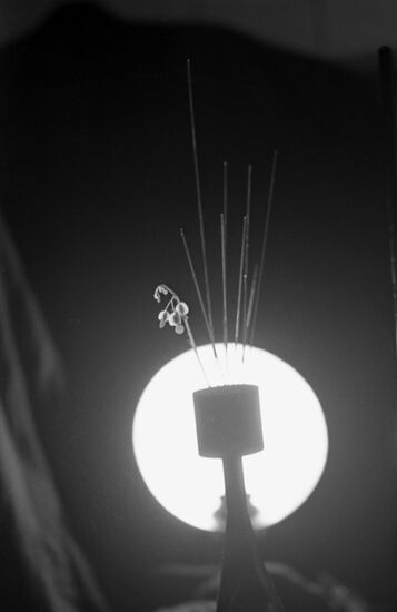 Ultrasonic capillary effect