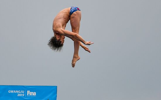 South Korea Aquatics Worlds High Diving Men