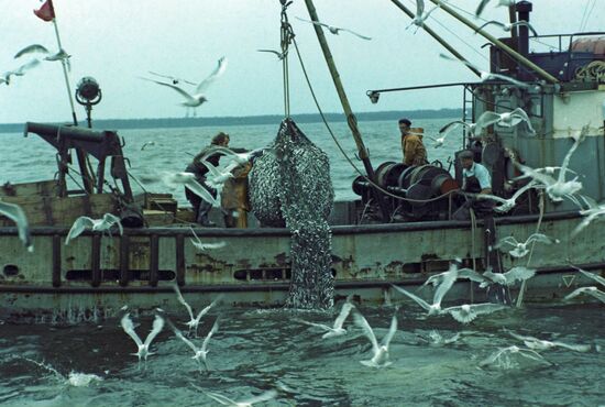 Fishery