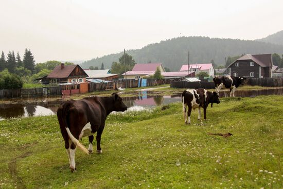 Russia Floods