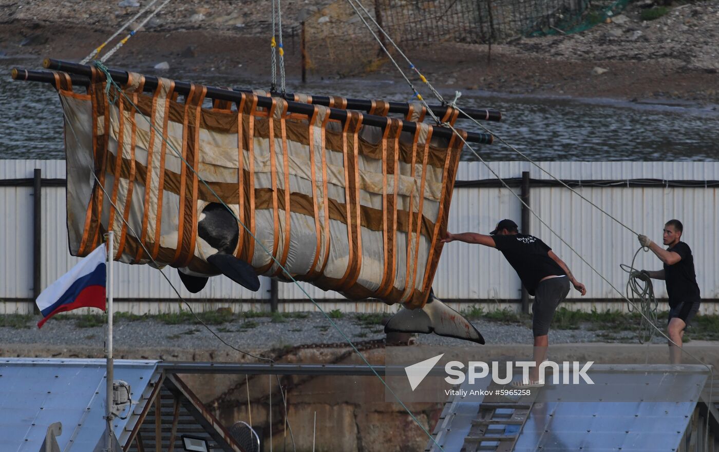 Russia Whale Jail