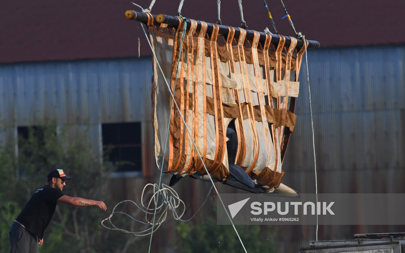 Russia Whale Jail