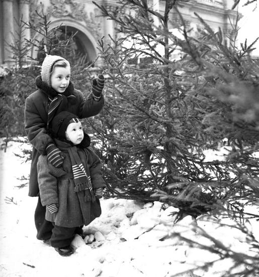 New Year tree fair