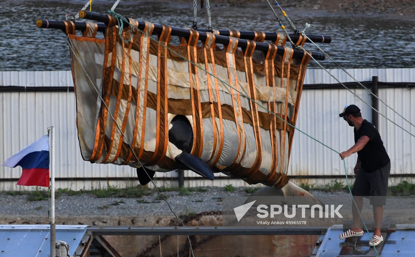 Russia Whale Jail