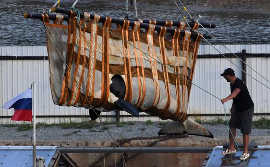 Russia Whale Jail
