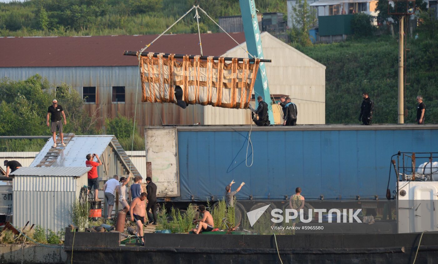 Russia Whale Jail
