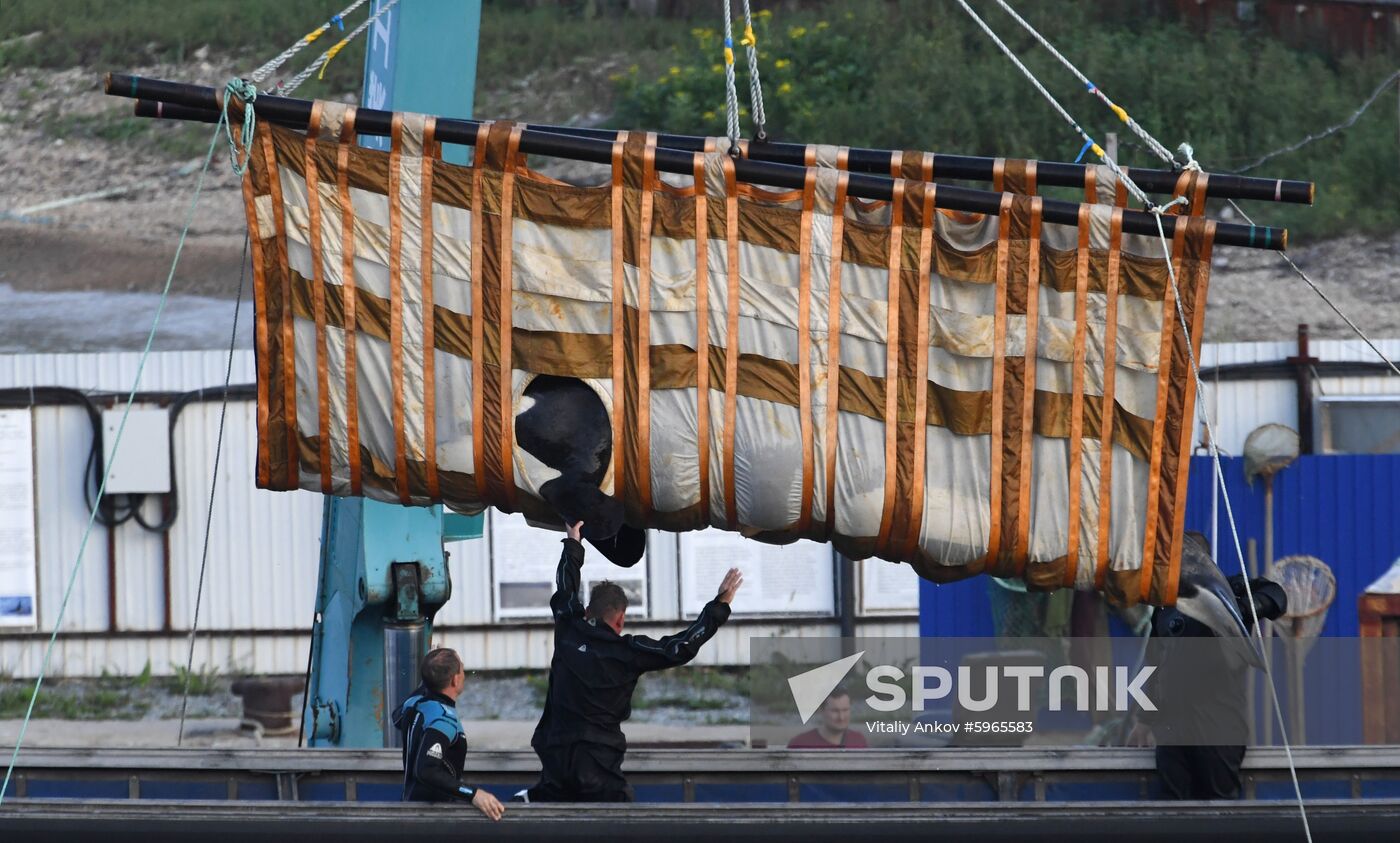 Russia Whale Jail