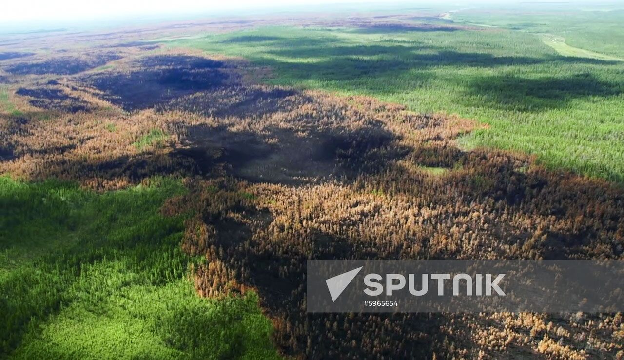 Russia Forest Fires