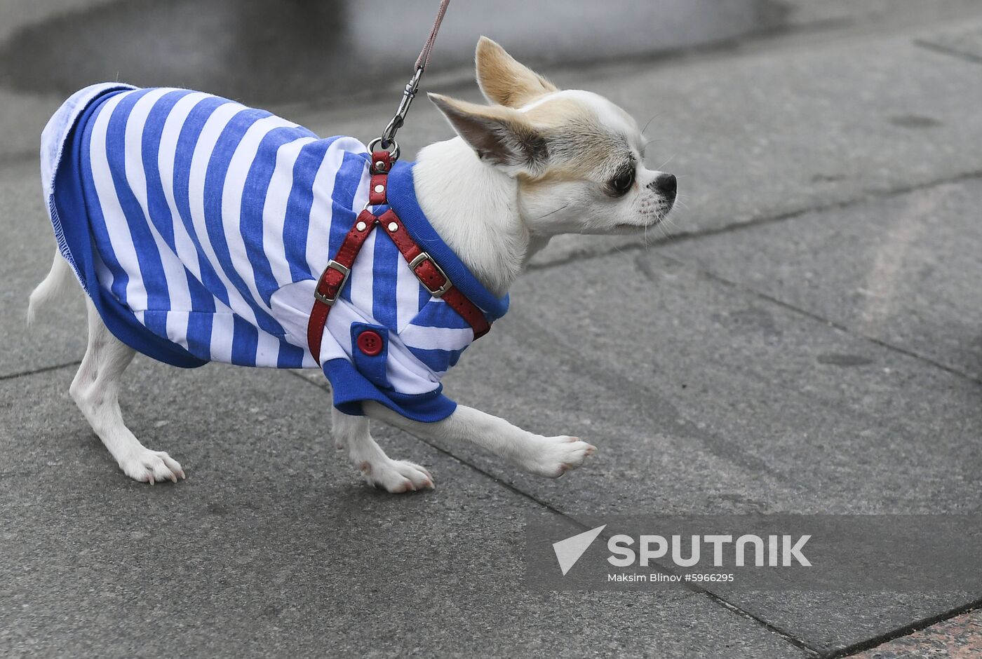 Russia Paratroopers Day