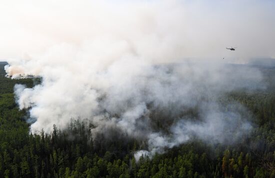 Russia Siberia Forest Fires