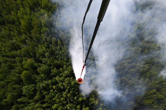 Russia Siberia Forest Fires