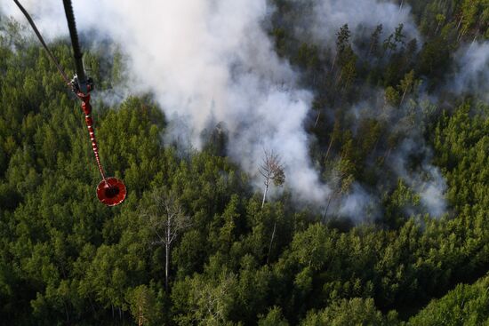 Russia Siberia Forest Fires