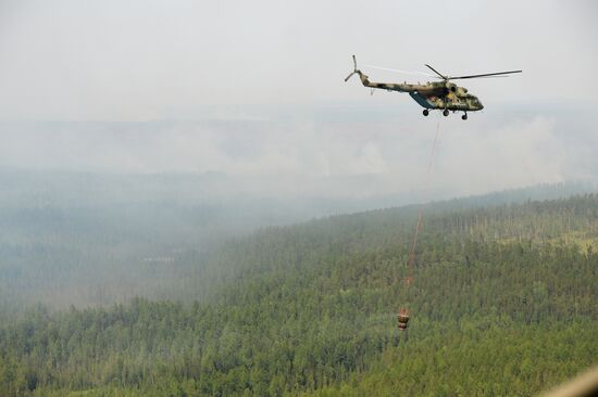 Russia Siberia Forest Fires