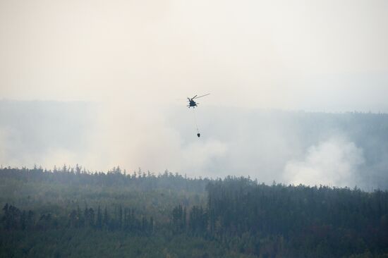 Russia Siberia Forest Fires